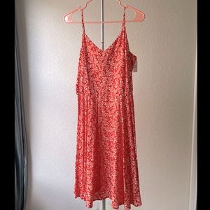 NWT Gap floral dress